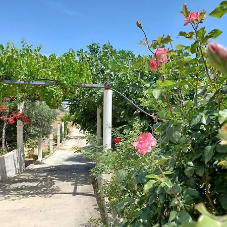 Calliope In Molos Σκύρος